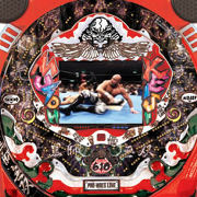 ＣＲ武藤敬司ＦＺ６０